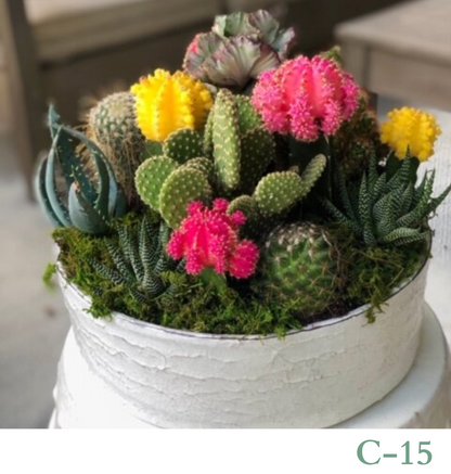 Custom Design Living Cactus