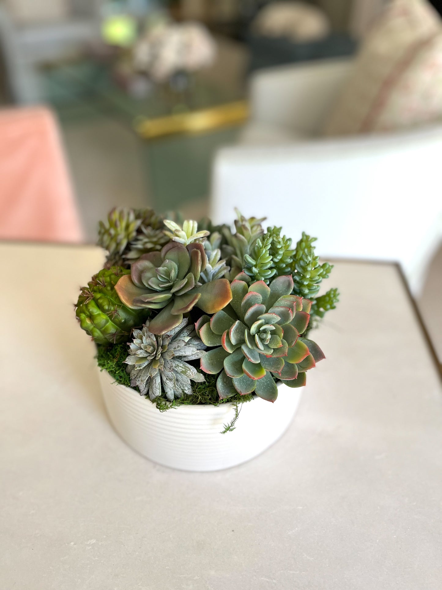 Lainey White Planter with Succulents