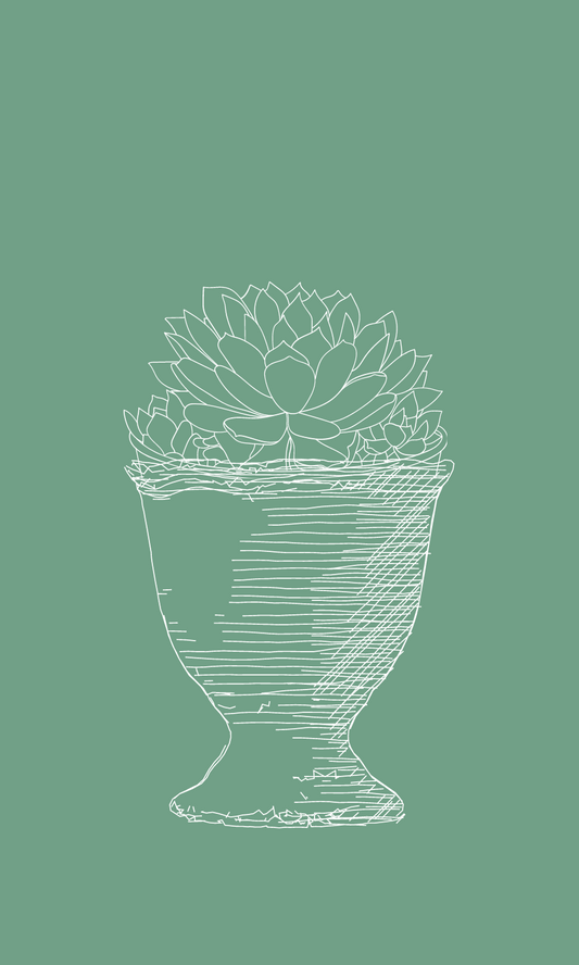 Graphic Placeholder for a Custom Succulent Design