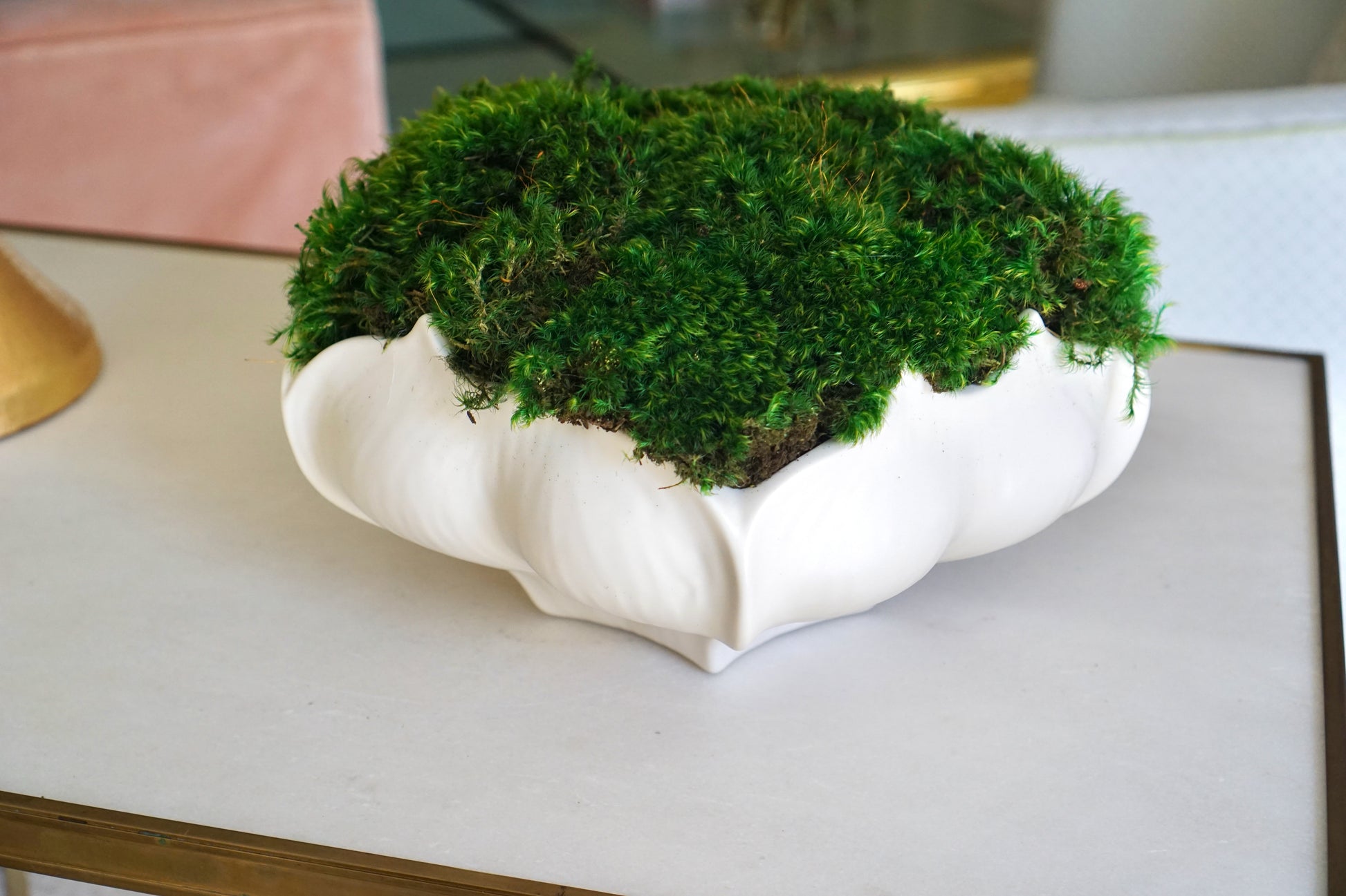 Star Fruit Bowl with Mood Moss