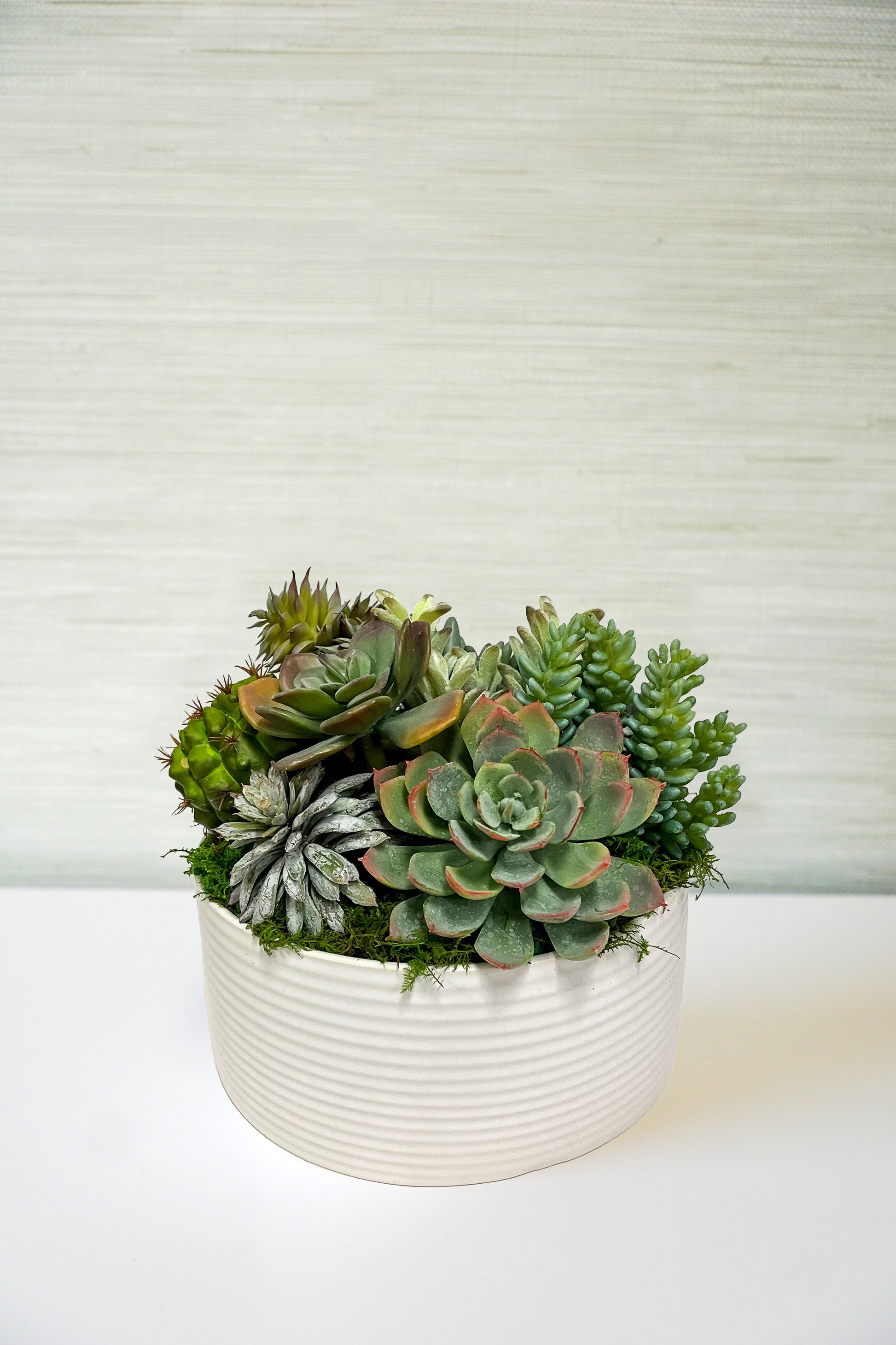 Decatur Bowl with Succulents