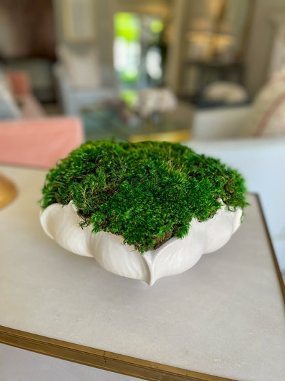 Star Fruit Bowl with Mood Moss