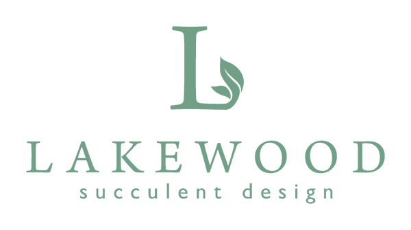 Lakewood Succulent Design Logo