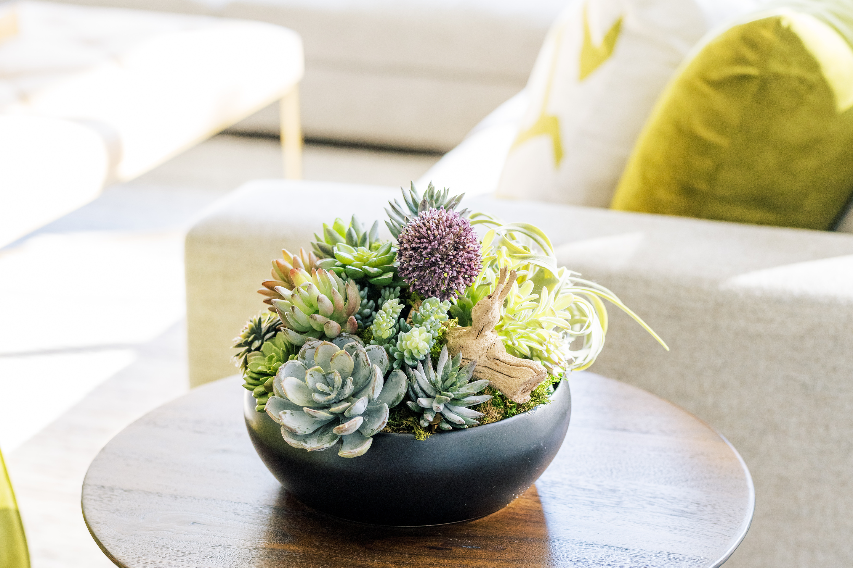 Beautiful mix of faux succulents with with airplants and wood in a luxe black bowl