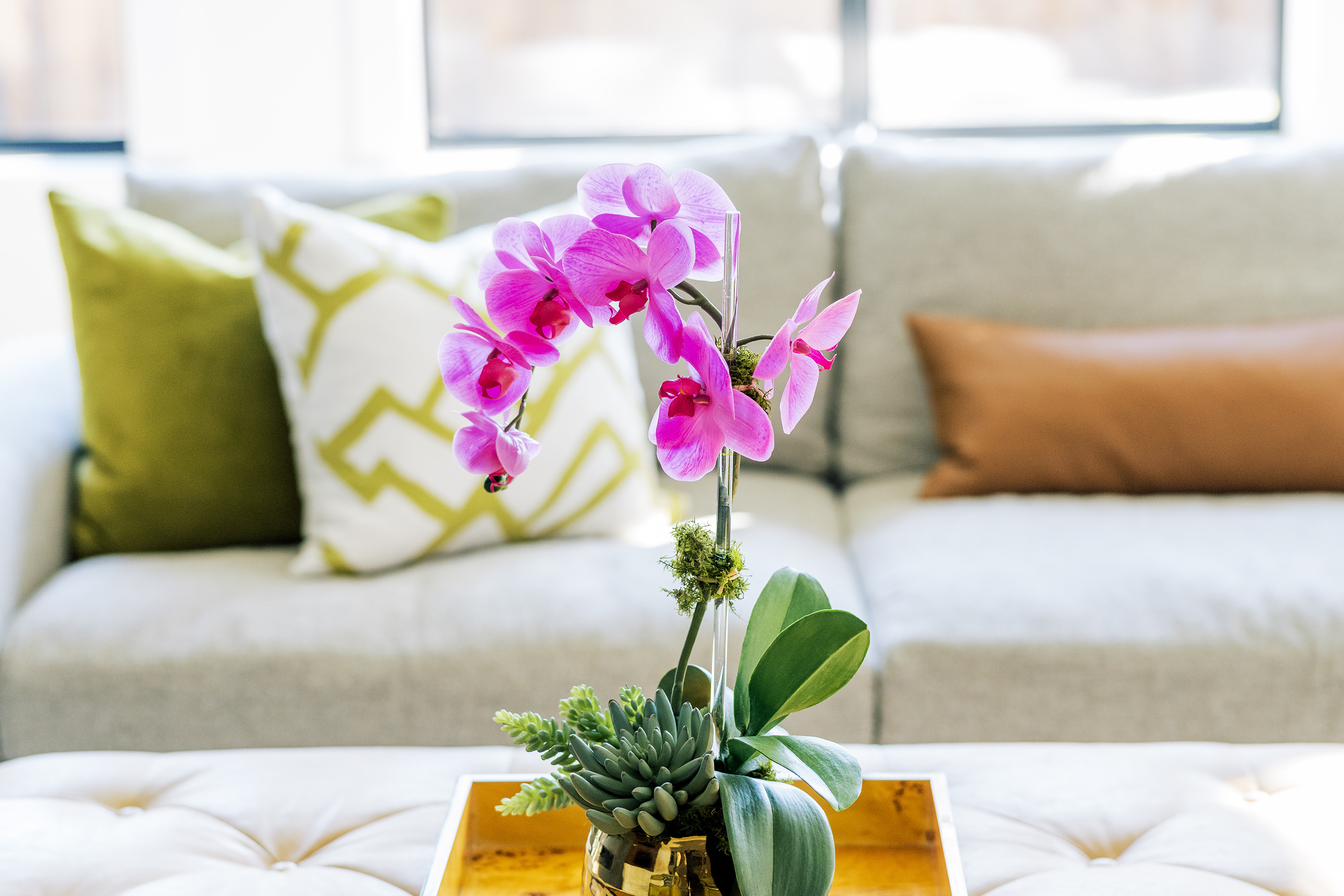 Modern Bright Fuchsia Orchid in a Copper Pot on a Coffee Table 