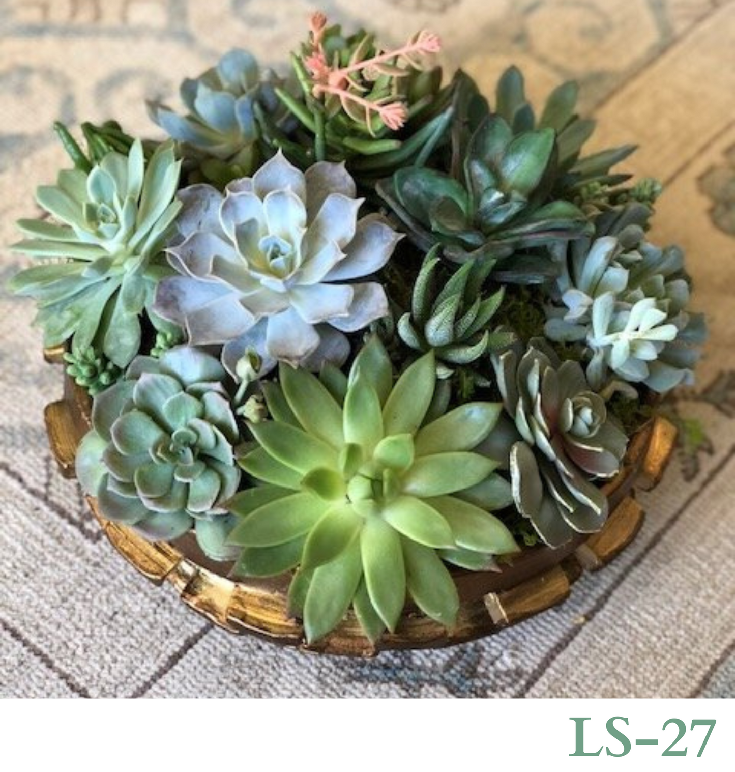 Custom Design with Living Succulents