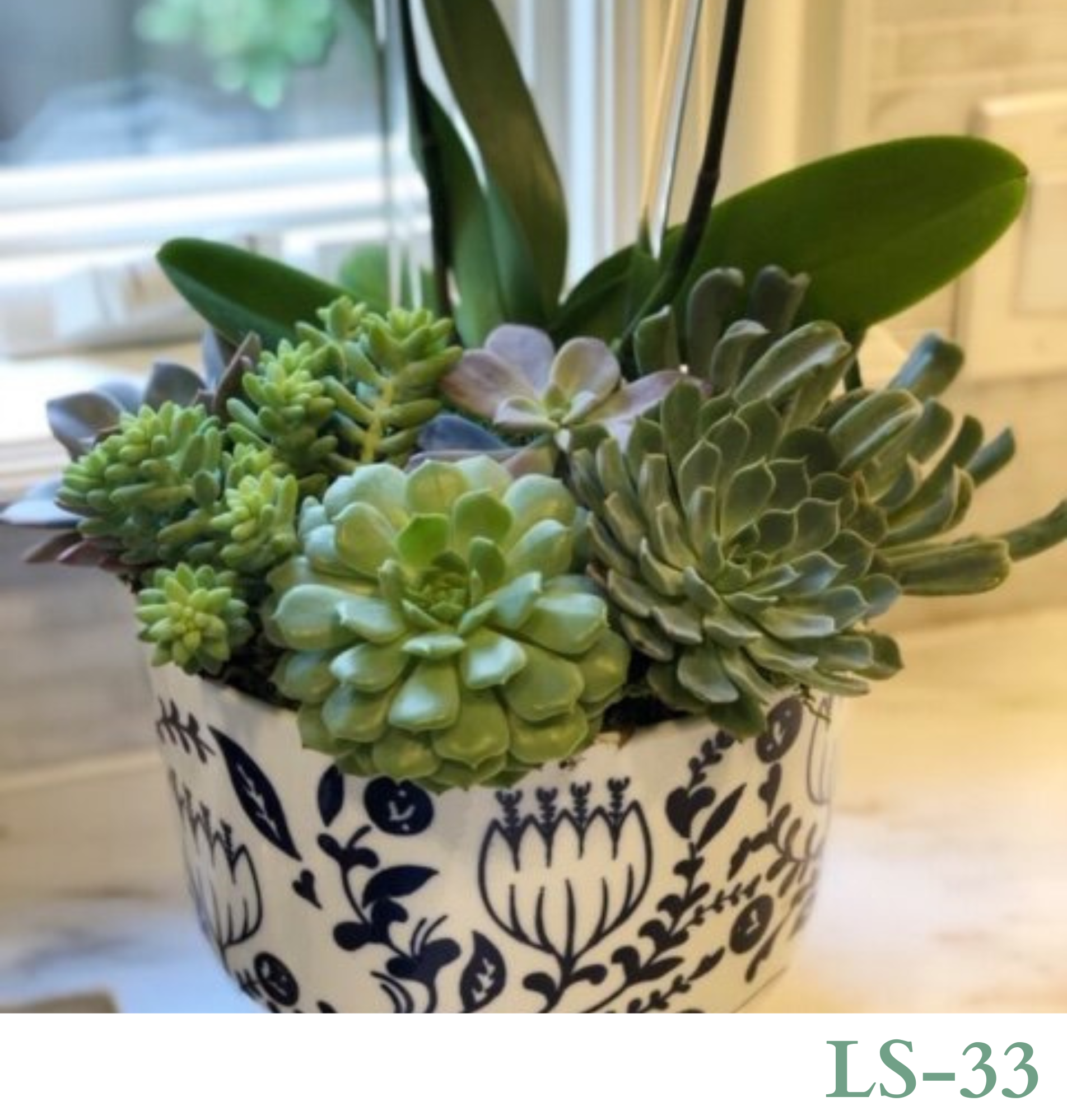 Custom Design with Living Succulents