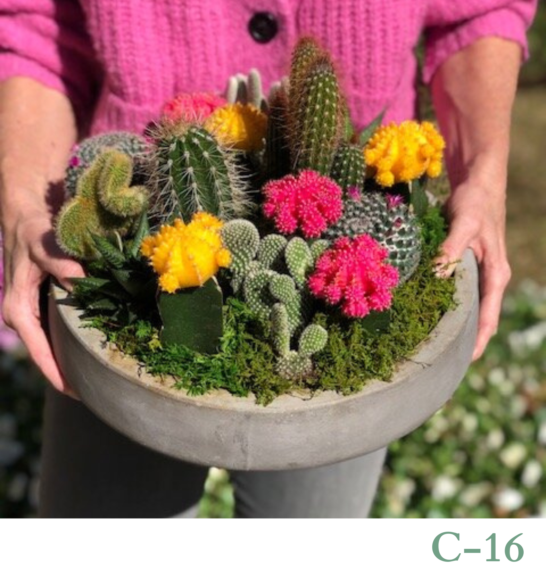 Custom Design Living Cactus