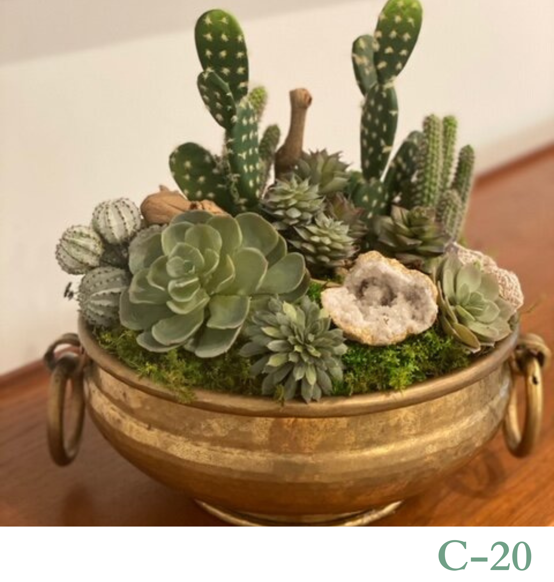 Custom Design Living Cactus