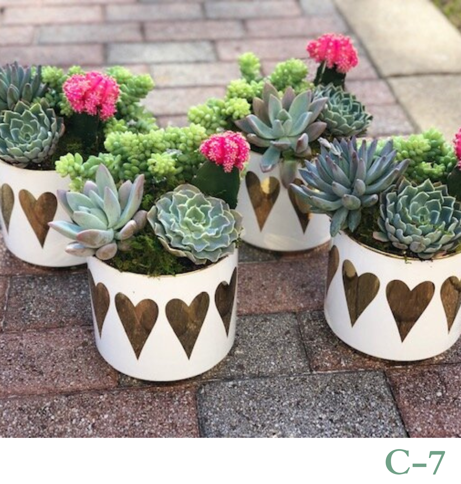 Custom Design Living Cactus