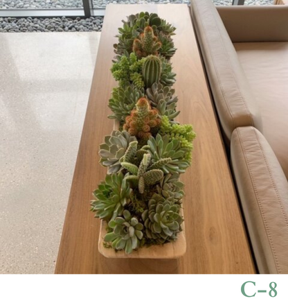 Custom Design Living Cactus