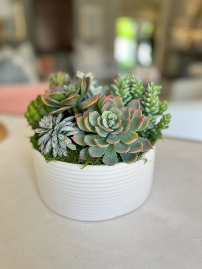 Decatur Bowl with Succulents