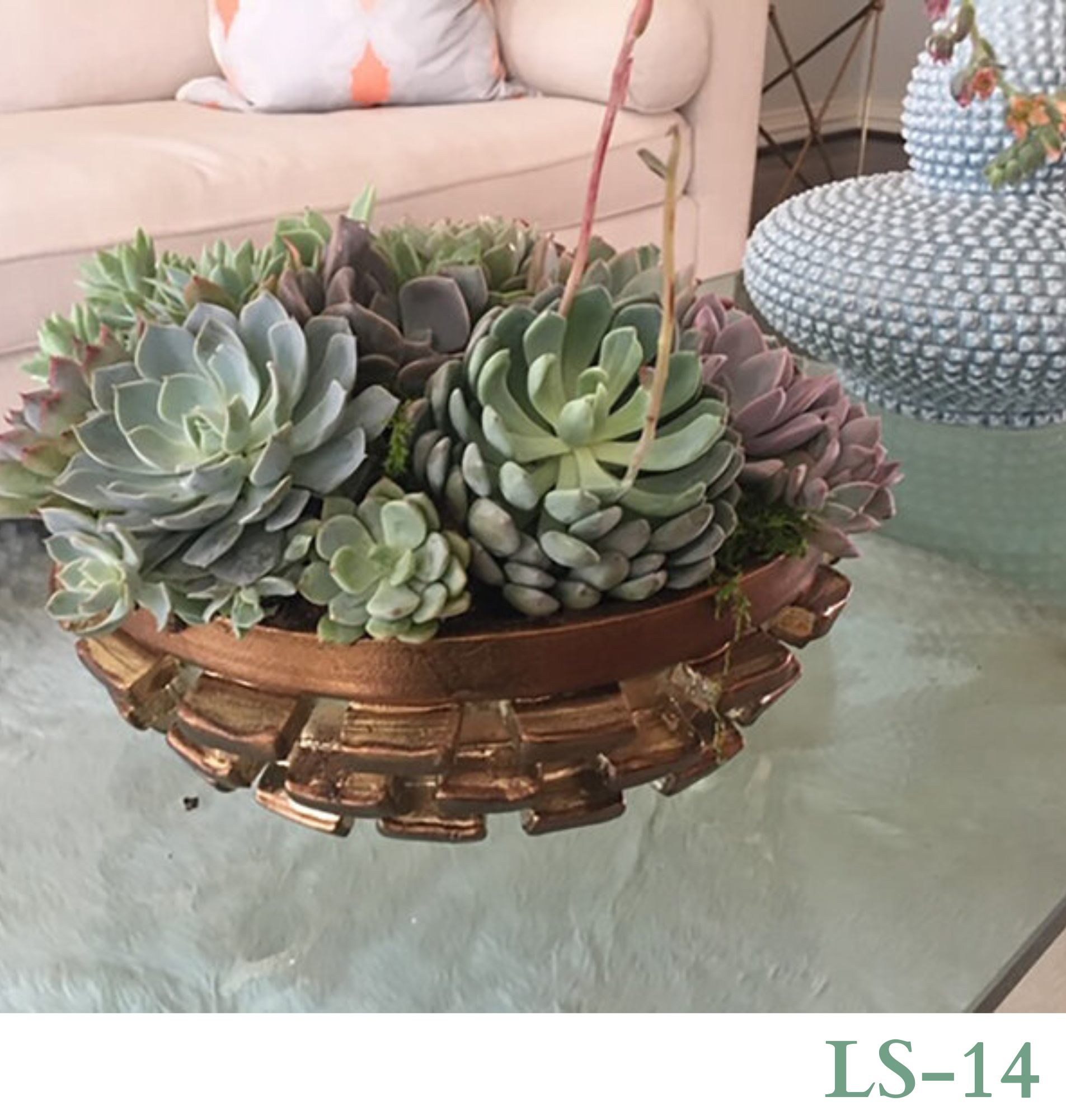 Custom Design with Living Succulents