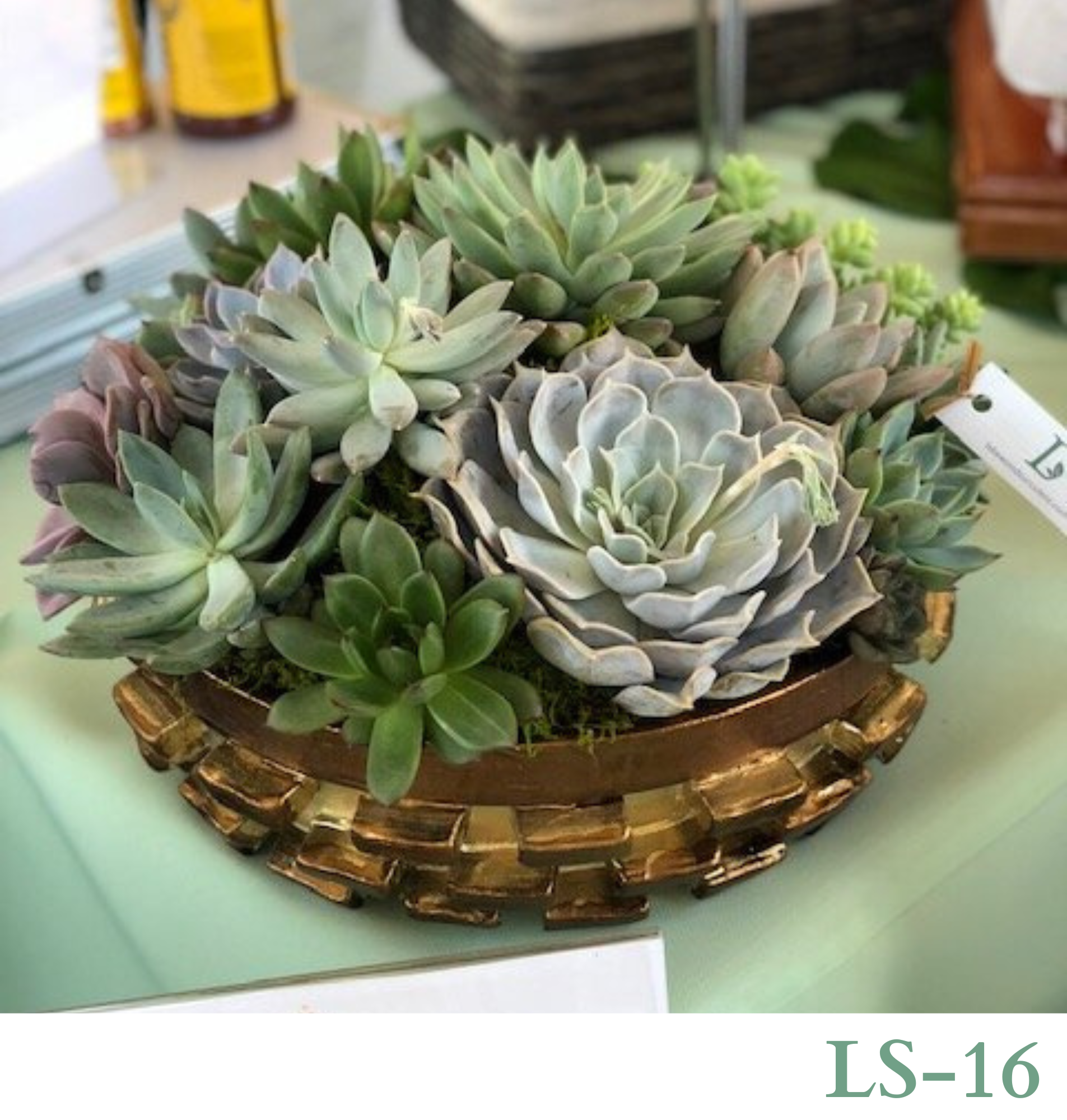 Custom Design with Living Succulents