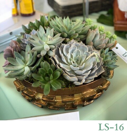 Custom Design with Living Succulents