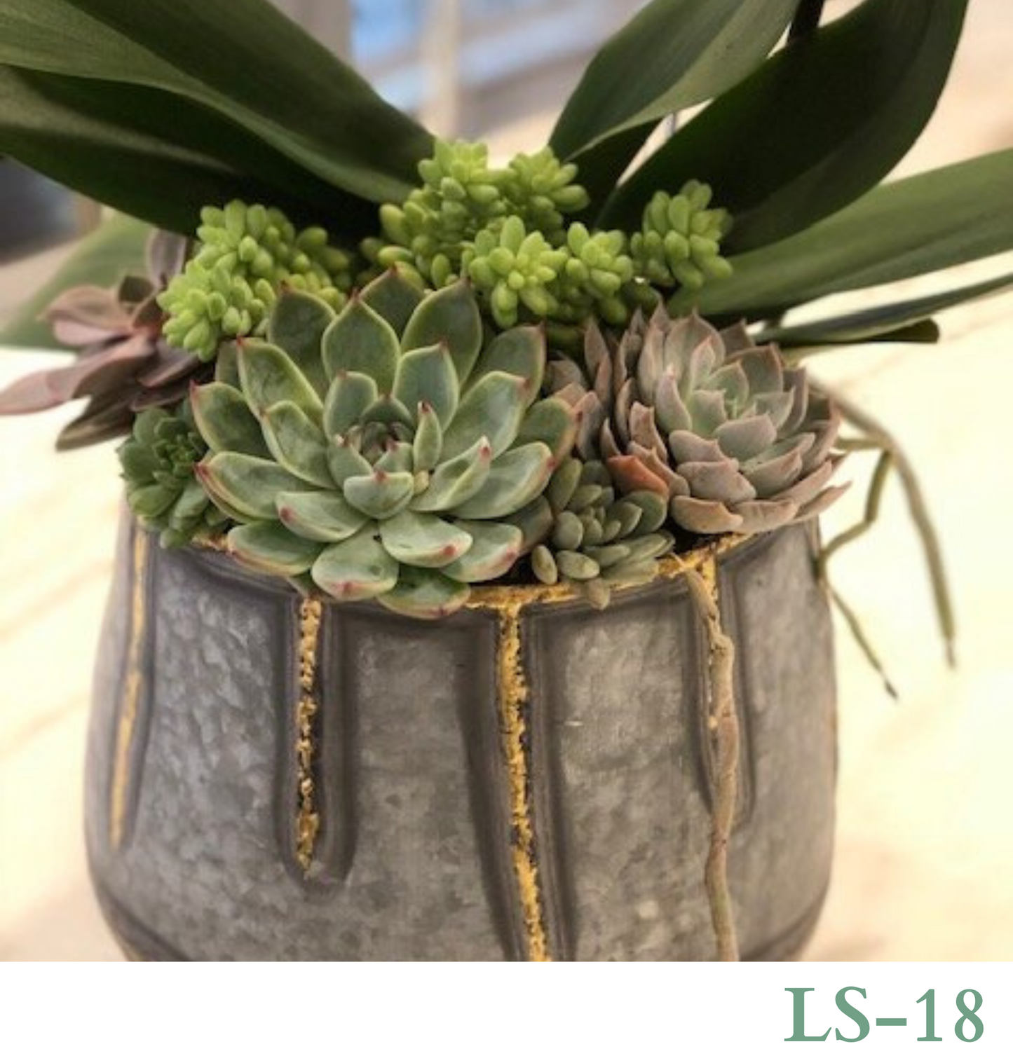 Custom Design with Living Succulents