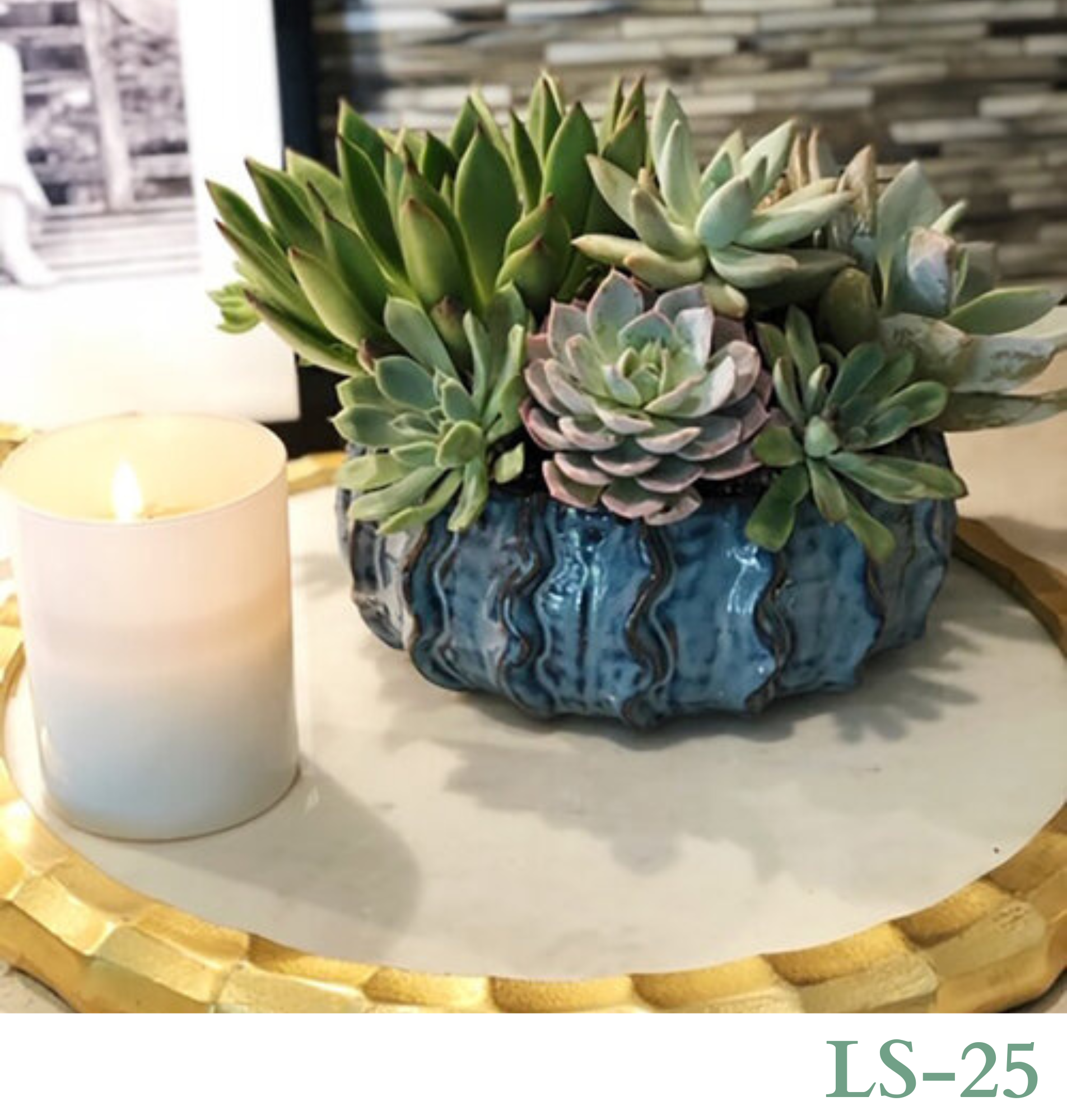 Custom Design with Living Succulents