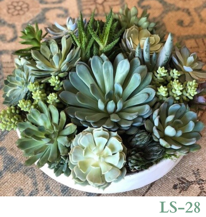 Custom Design with Living Succulents