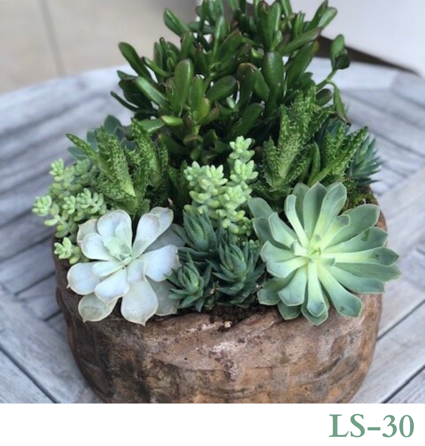 Custom Design with Living Succulents