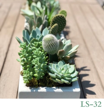 Custom Design with Living Succulents